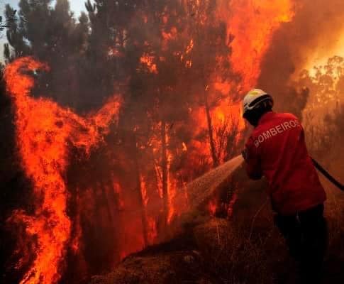 Bombeiro a combater incêndio + Produtos digitais + Studio Rita Medeiros.