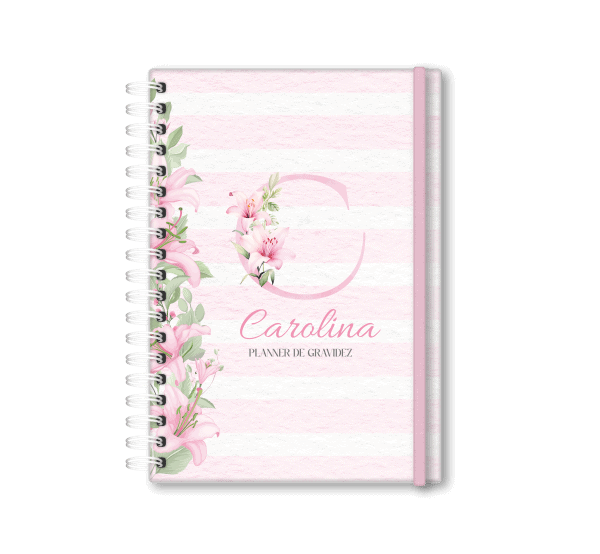 planner de gravidez personalizado - Studio Rita Medeiros