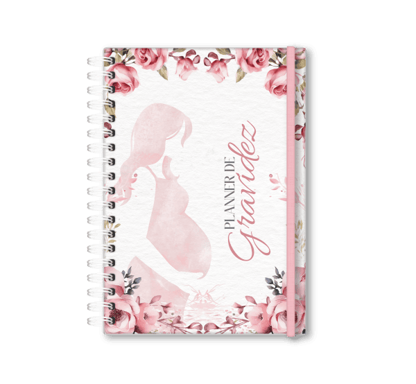 planner de gravidez personalizado - Studio Rita Medeiros