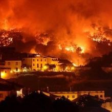 Incêndio florestal com fogo e fumaça + categoria incêndios + Studio Rita Medeiros.