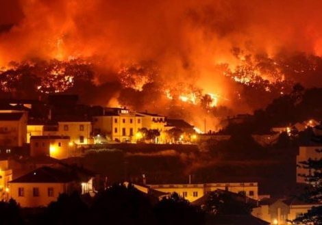 Incêndio florestal com fogo e fumaça + categoria incêndios + Studio Rita Medeiros.