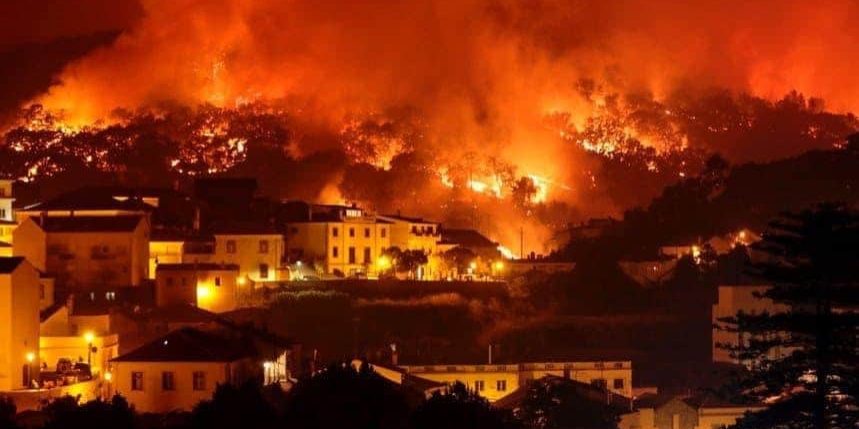 Incêndio florestal com fogo e fumaça + categoria incêndios + Studio Rita Medeiros.